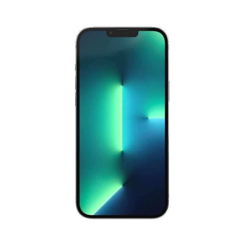 iPhone 13 Pro Max 1to Argent