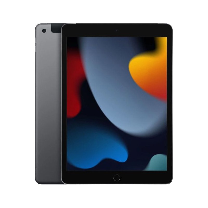 Apple iPad 10.2 4G (2021) 256Go Tvm Gris - Apple Reconditionné En France - État Bon - Garanti 2 Ans