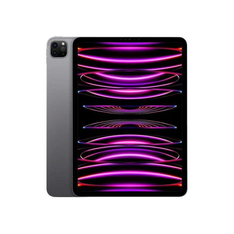 iPad Pro 11 5G (2022) 1 To Gris - Reconditionn&eacute; en France - &Eacute;tat Parfait - Garanti 2 ans 