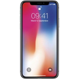 iPhone X Gris
