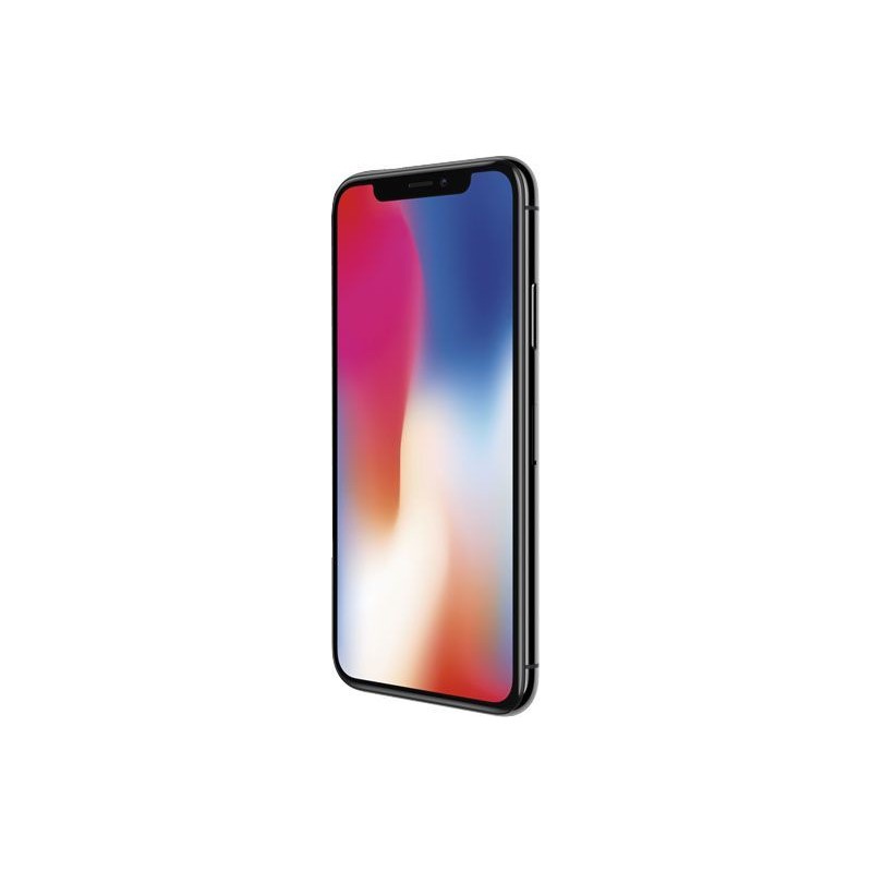 iPhone X Gris