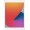 iPad 10.2 (2020)