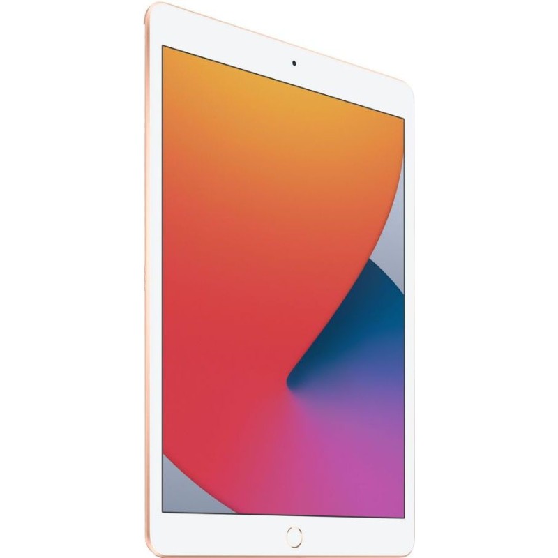 iPad 10.2 (2020)