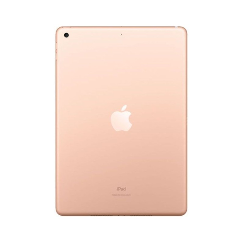 iPad 10.2 (2020)