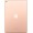 iPad 10.2 (2020)