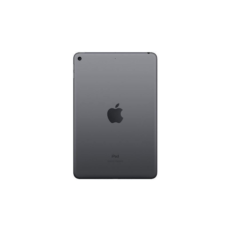 iPad mini 5