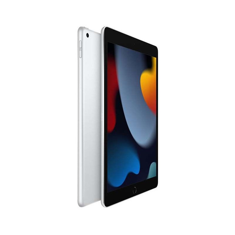 iPad 10.2 (2021)
